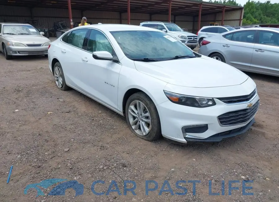 1G1ZD5ST6JF183976# 1