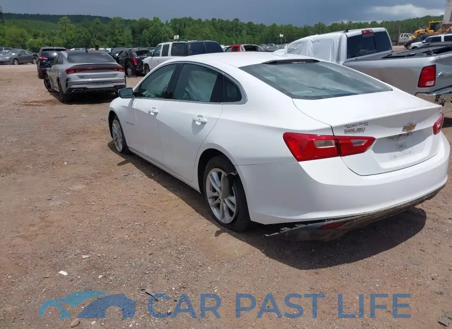 1G1ZD5ST6JF183976# 3