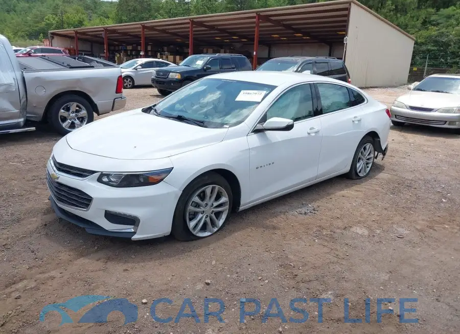 1G1ZD5ST6JF183976# 2