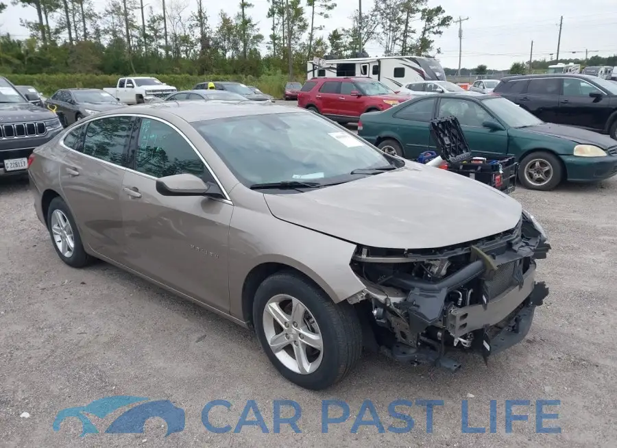 1G1ZD5ST7PF166080# 1