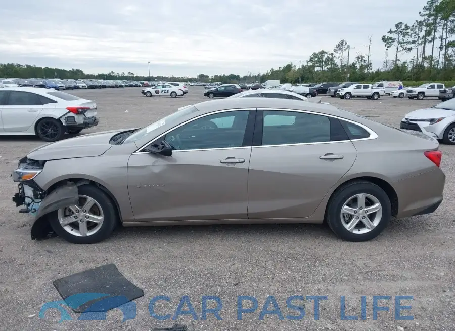 1G1ZD5ST7PF166080# 15