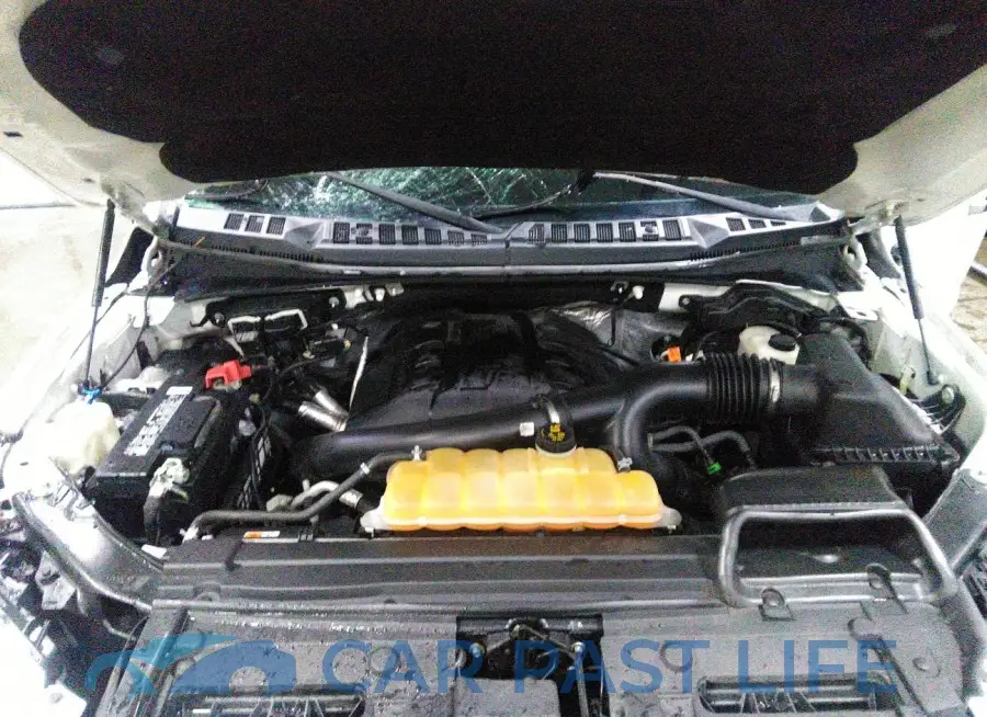 1FTEW1EG5GKF18331# 10