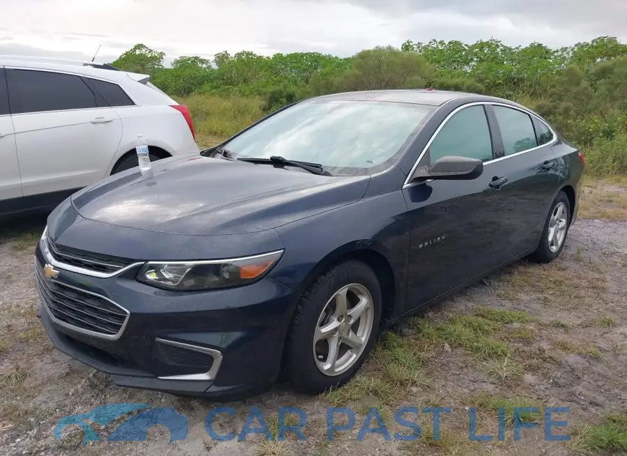 1G1ZB5ST6JF155598# 2