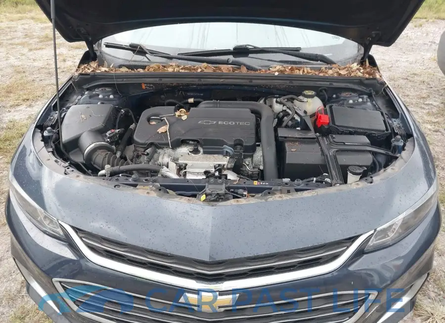1G1ZB5ST6JF155598# 10