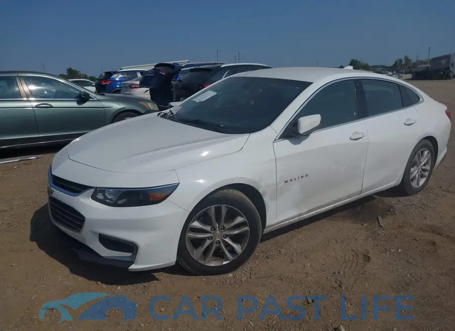 1G1ZD5ST1JF176577# 2