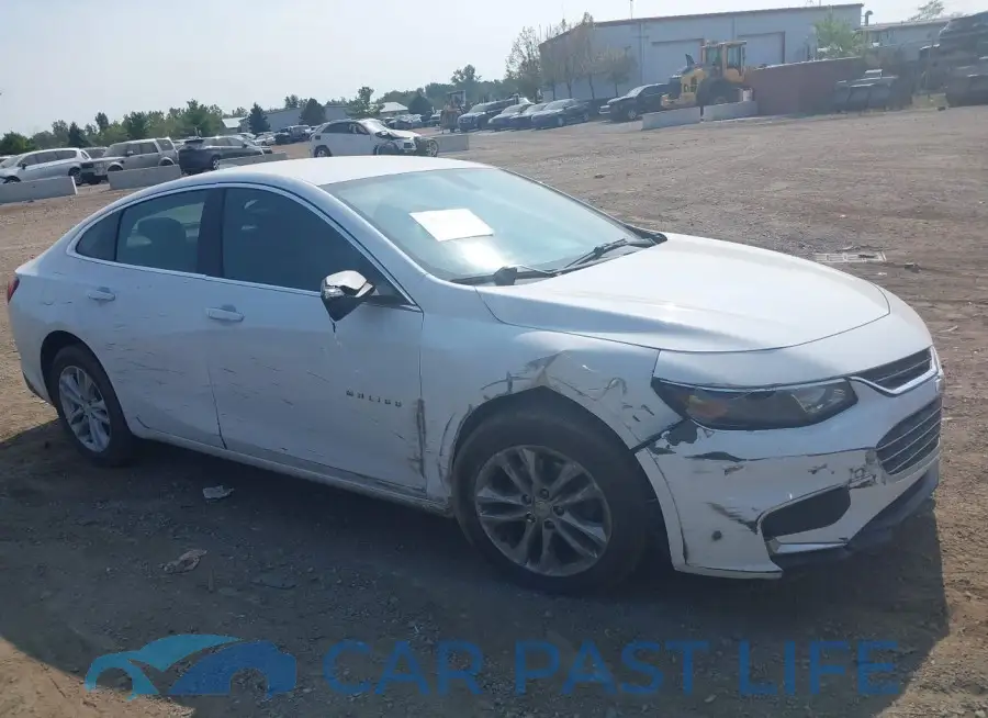 1G1ZD5ST1JF176577# 1