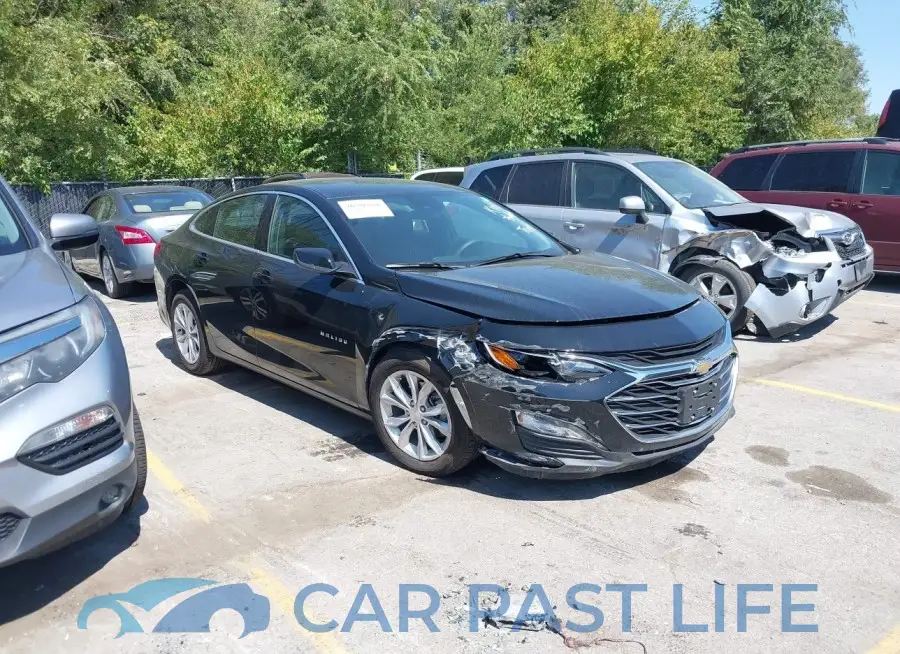 1G1ZD5ST6RF162041# 1