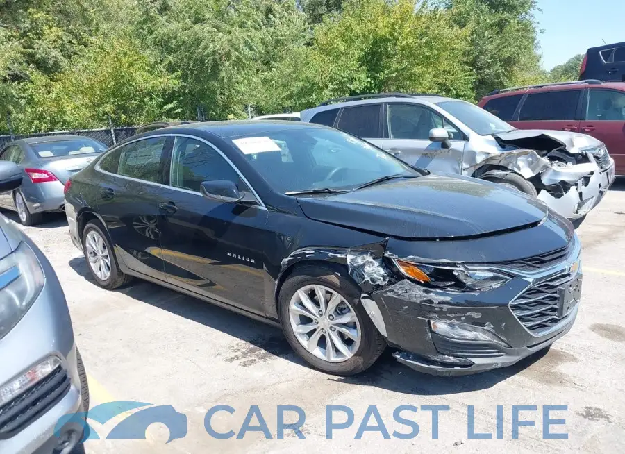 1G1ZD5ST6RF162041# 13