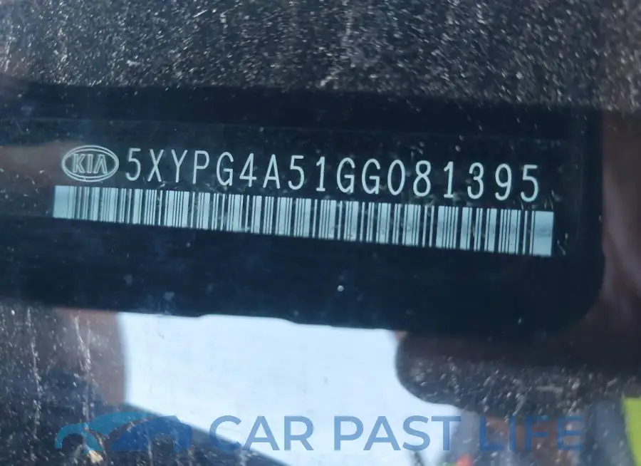 5XYPG4A51GG081395# 9