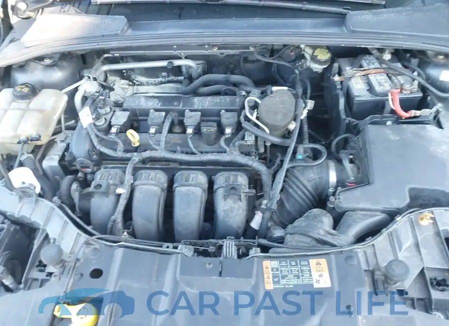 1FADP3F20FL240119# 10
