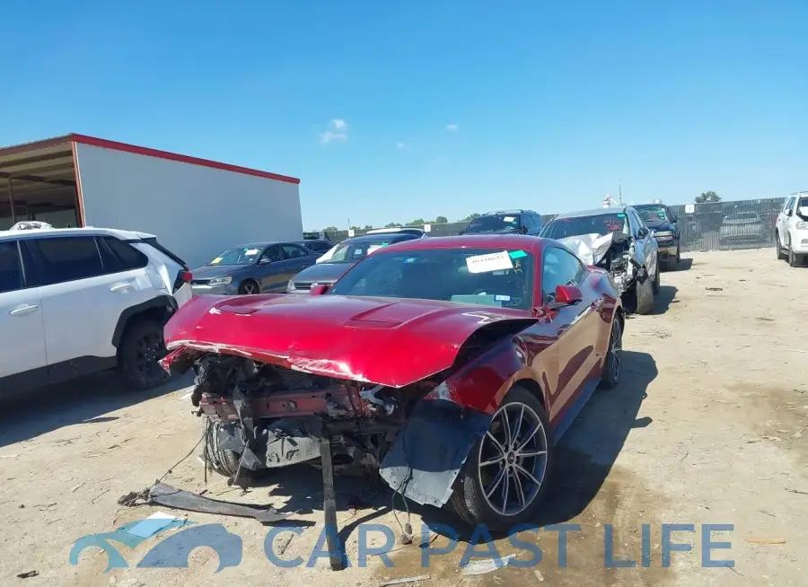 1FA6P8TH7K5159681# 2