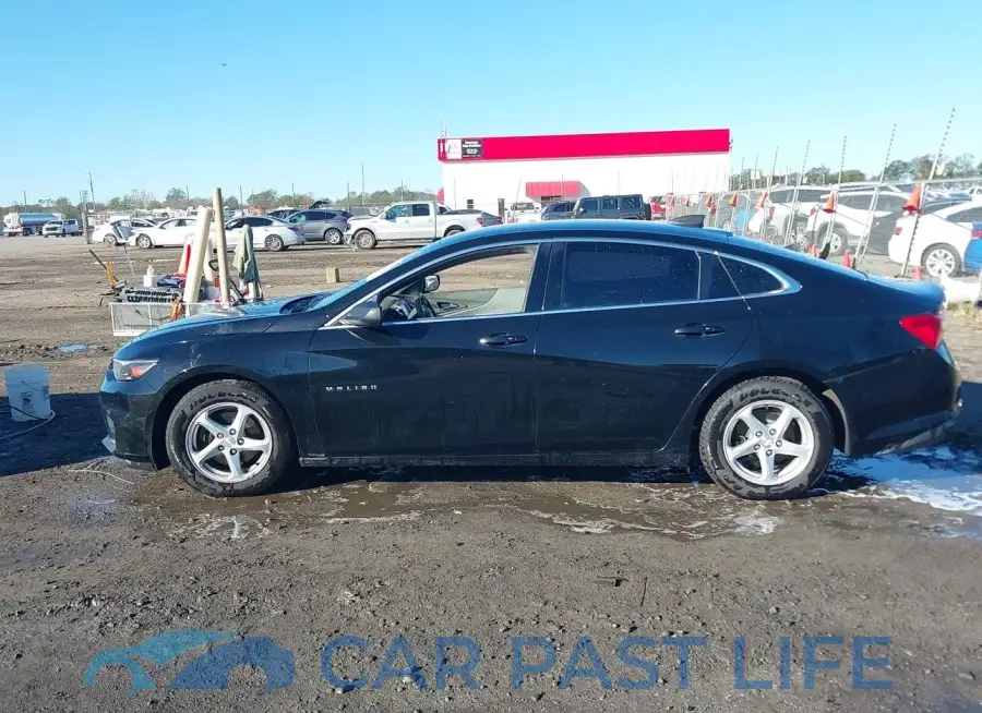 1G1ZB5ST6HF179068# 15