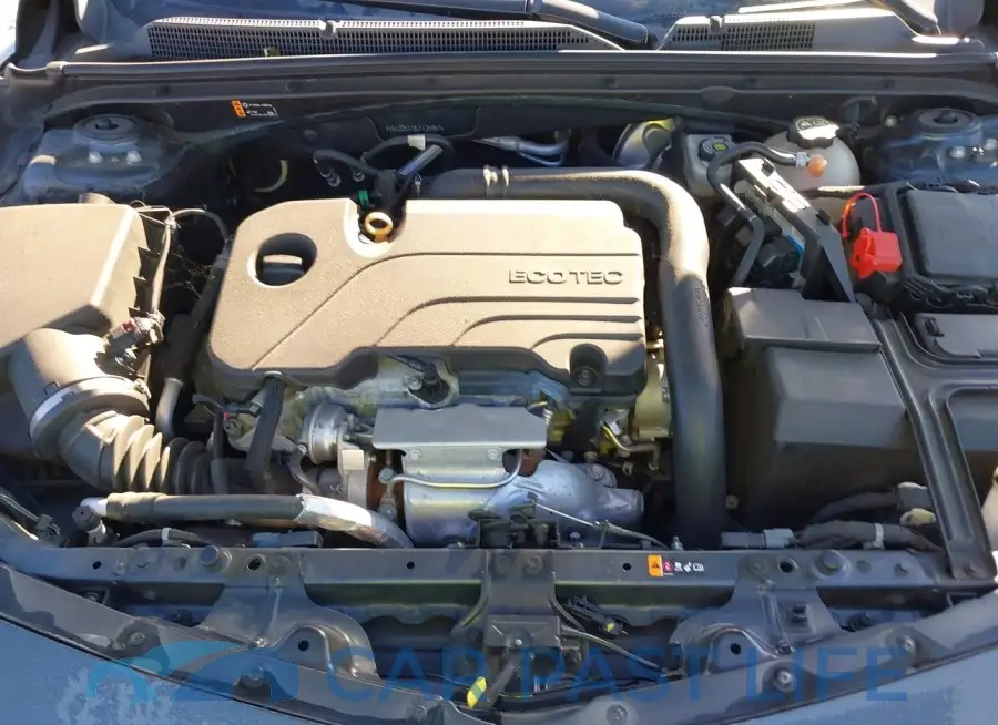 1G1ZD5ST8LF125967# 10