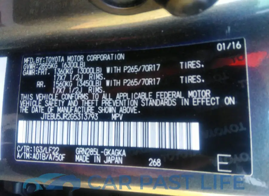 JTEBU5JR2G5313793# 9