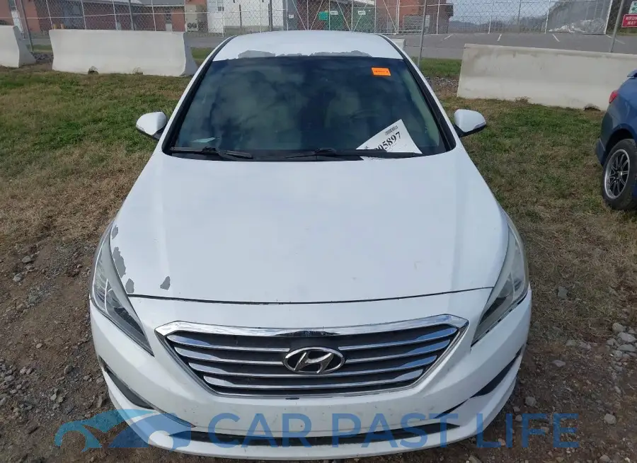 5NPE34AF1FH158463# 12