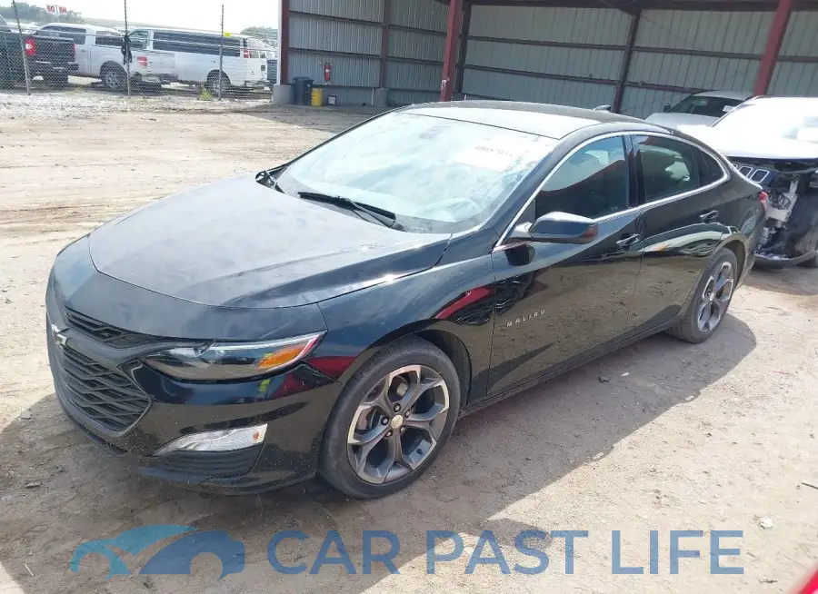 1G1ZD5ST3LF117064# 2