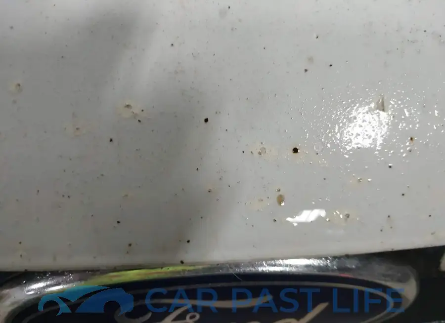 1FMCU9GX6EUC54719# 13