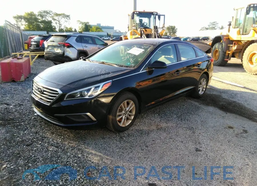 5NPE24AF8HH545906# 2
