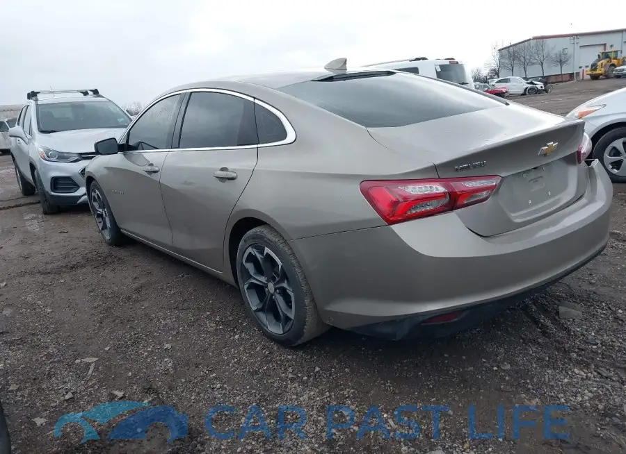 1G1ZD5ST2NF202223# 3