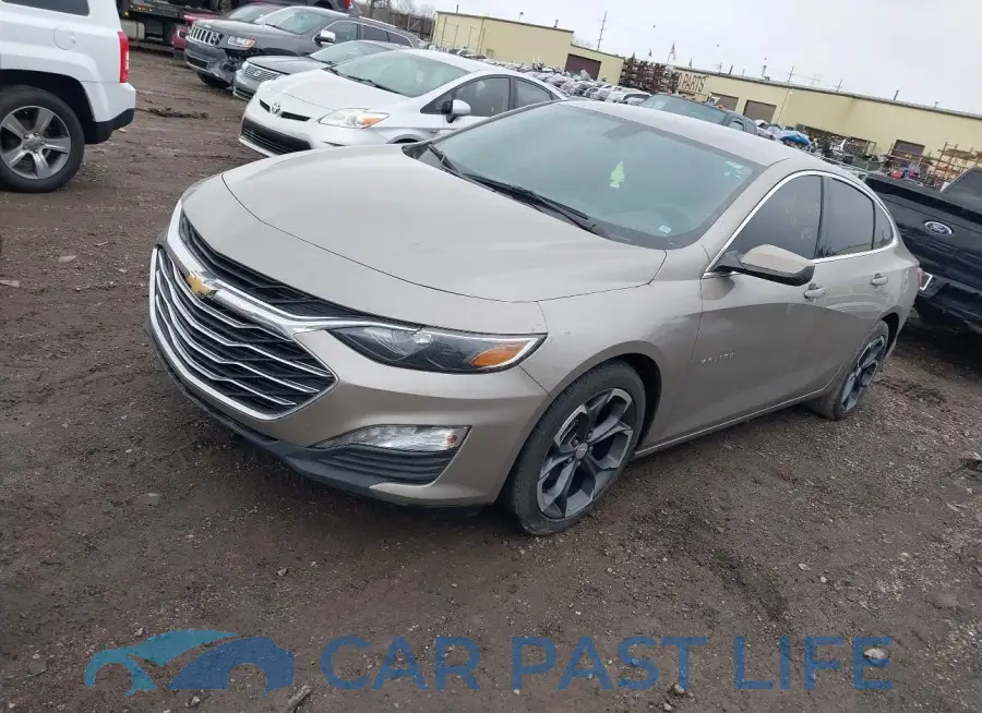 1G1ZD5ST2NF202223# 2