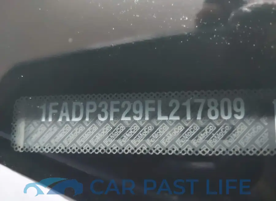 1FADP3F29FL217809# 9