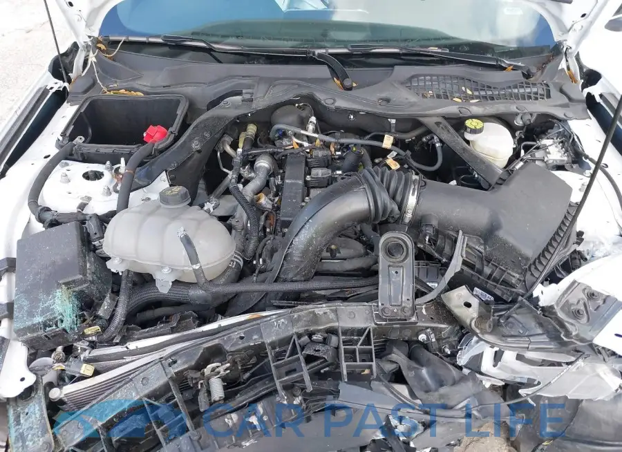1FATP8UHXP5104697# 10