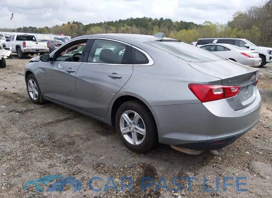 1G1ZD5ST8RF181741# 3