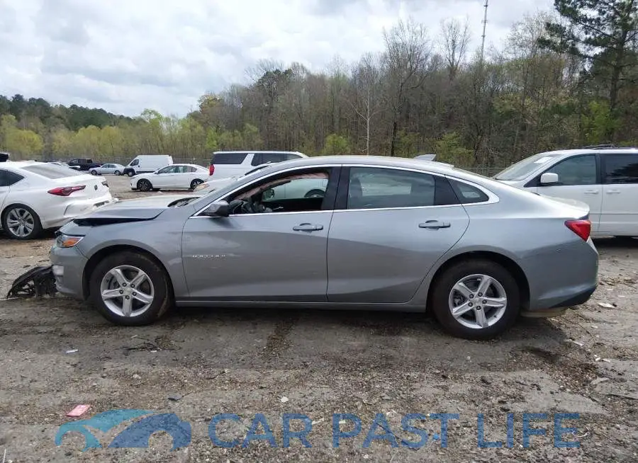 1G1ZD5ST8RF181741# 14