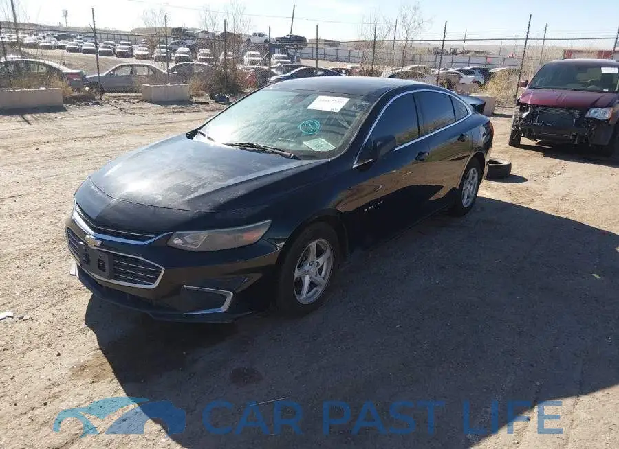 1G1ZB5ST9HF213567# 2