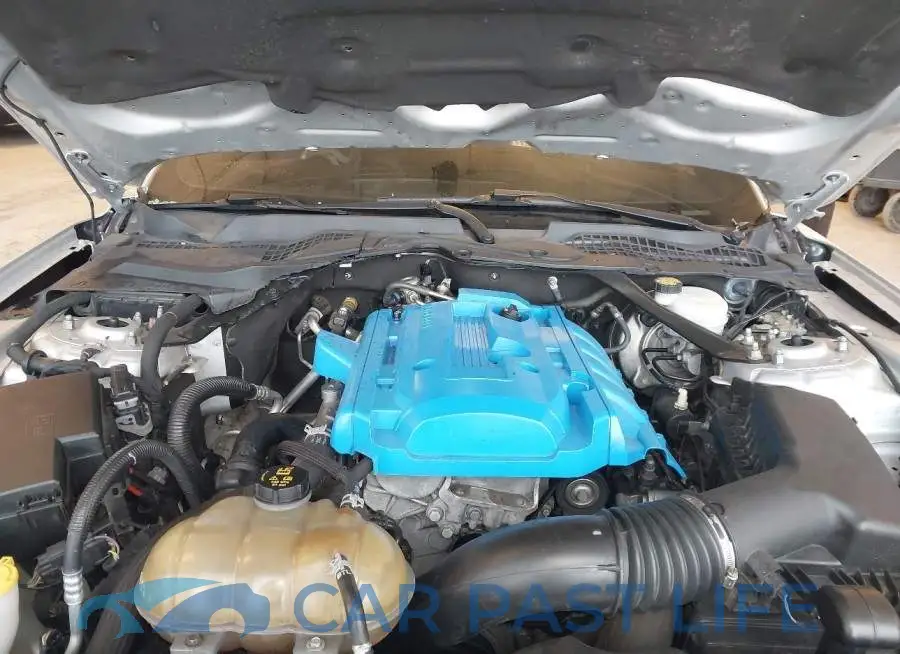 1FATP8UH8J5124065# 10