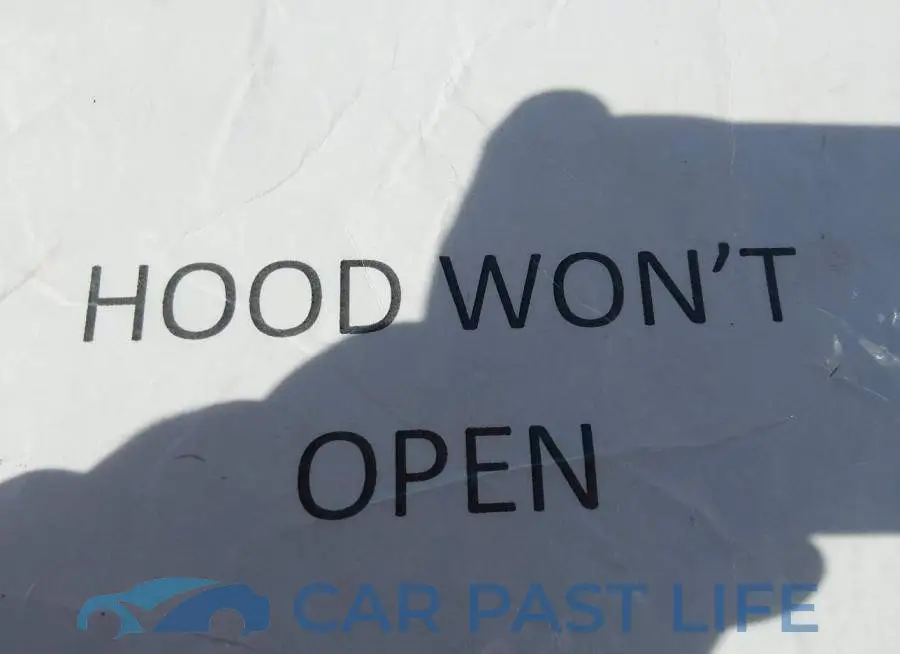 3C4NJCBB6KT615614# 10