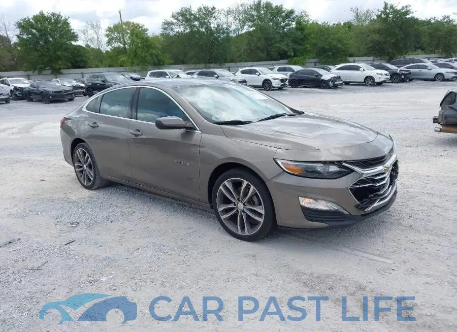 1G1ZD5ST4LF119616# 1