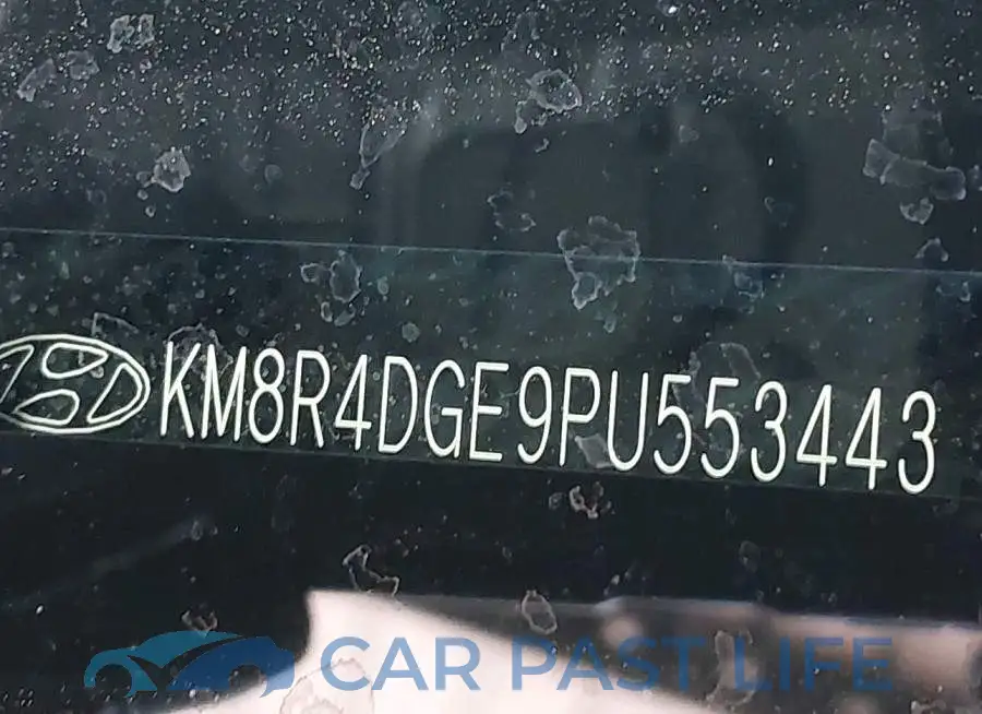 KM8R4DGE9PU553443# 9