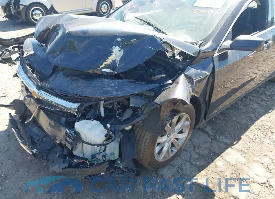 1G1ZD5ST1PF142826# 17