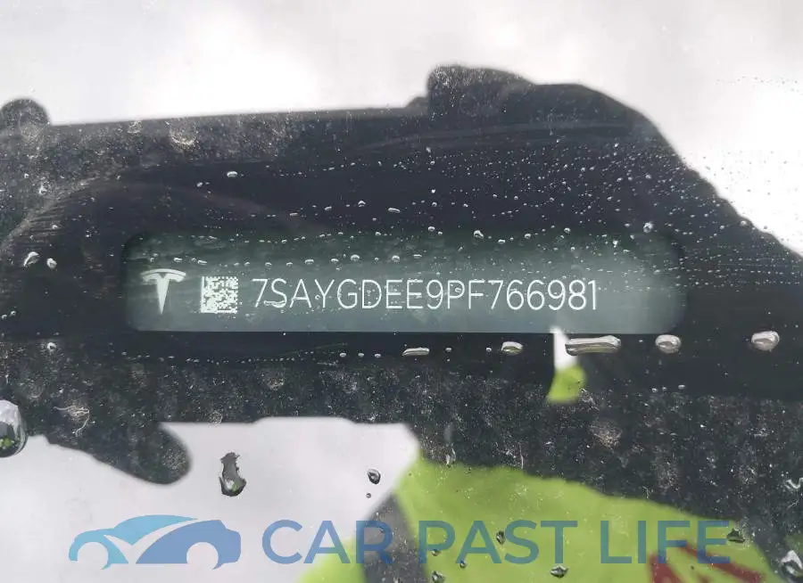 7SAYGDEE9PF766981# 19