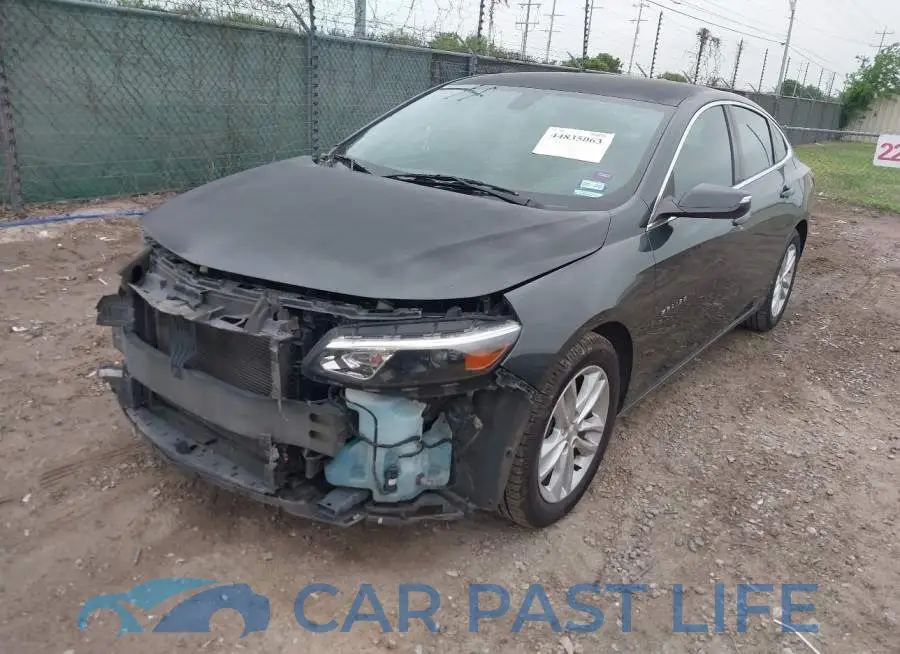 1G1ZD5ST7JF143387# 2