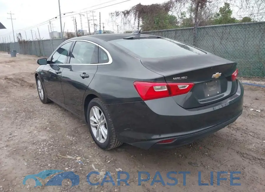 1G1ZD5ST7JF143387# 3