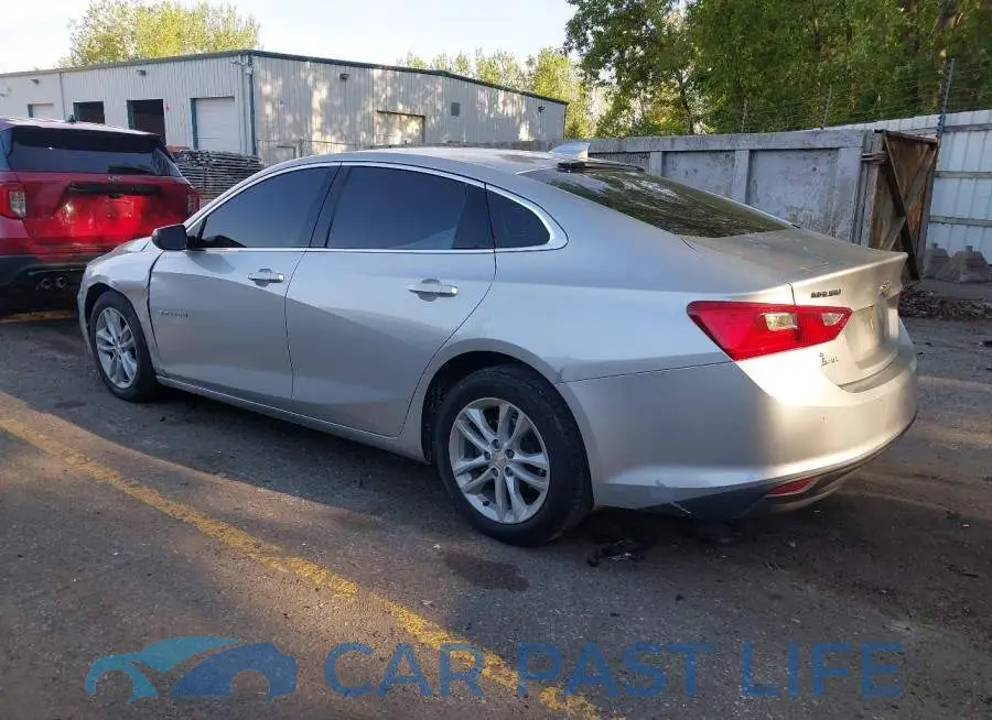 1G1ZD5ST7JF193643# 3