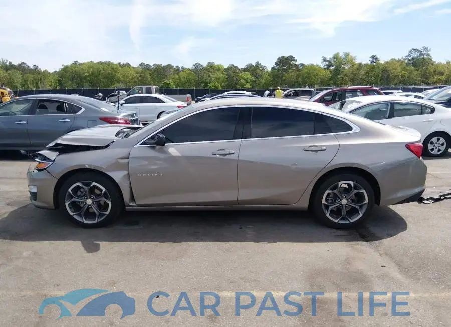 1G1ZD5ST6RF217863# 14