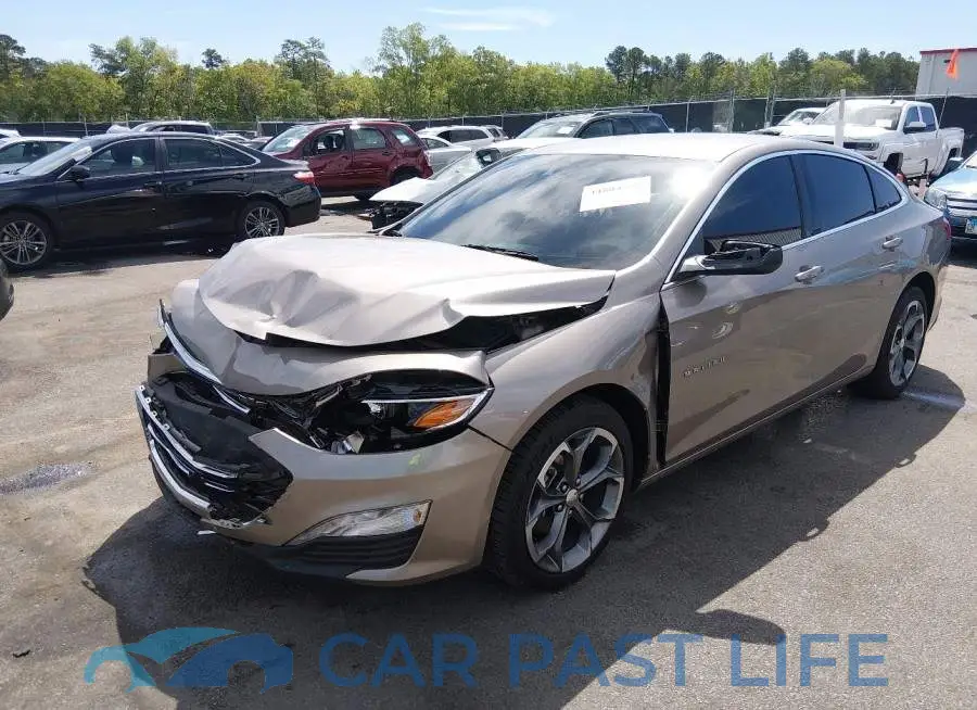 1G1ZD5ST6RF217863# 2