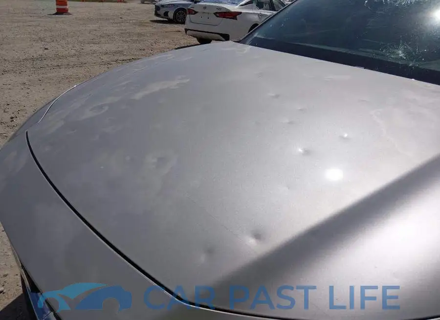 3MVDMBBM0RM648688# 6
