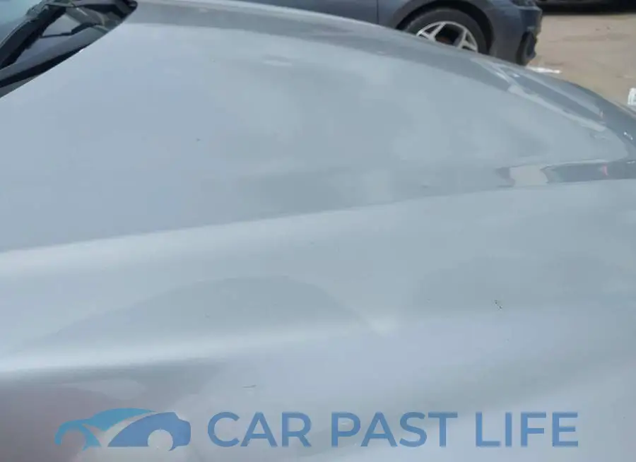 1G1ZD5ST3JF129504# 21