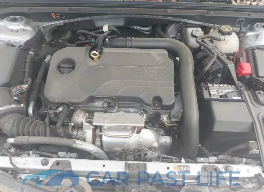 1G1ZD5ST8MF008584# 10