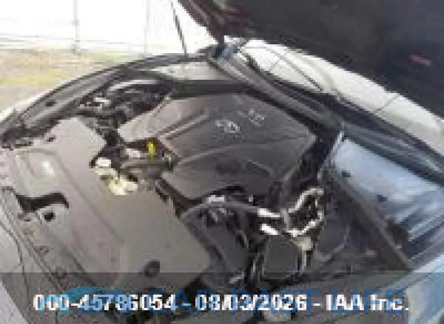 JN1EV7BR3PM541724# 9
