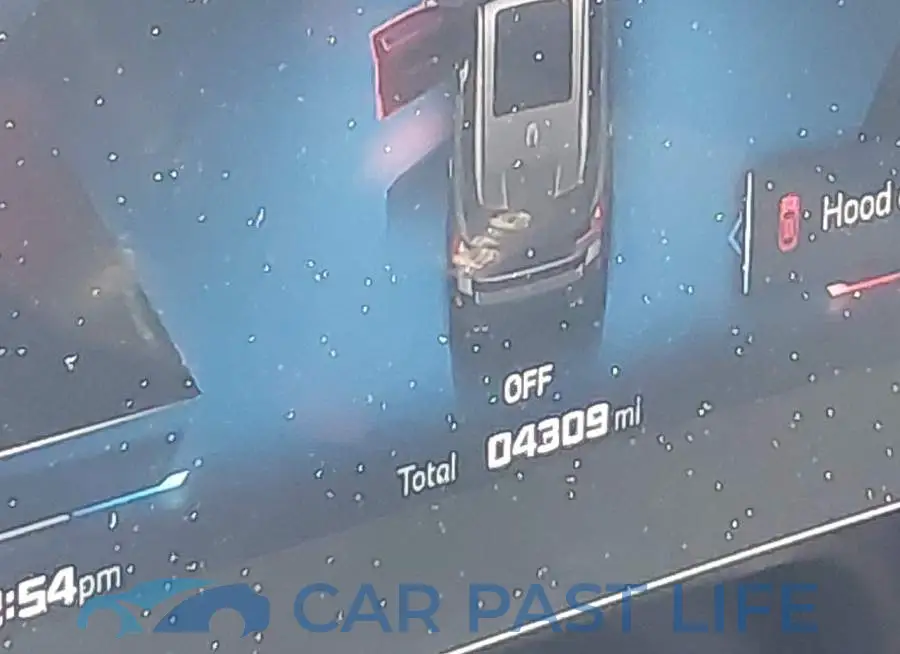 WBX13EF0XT5531376# 7
