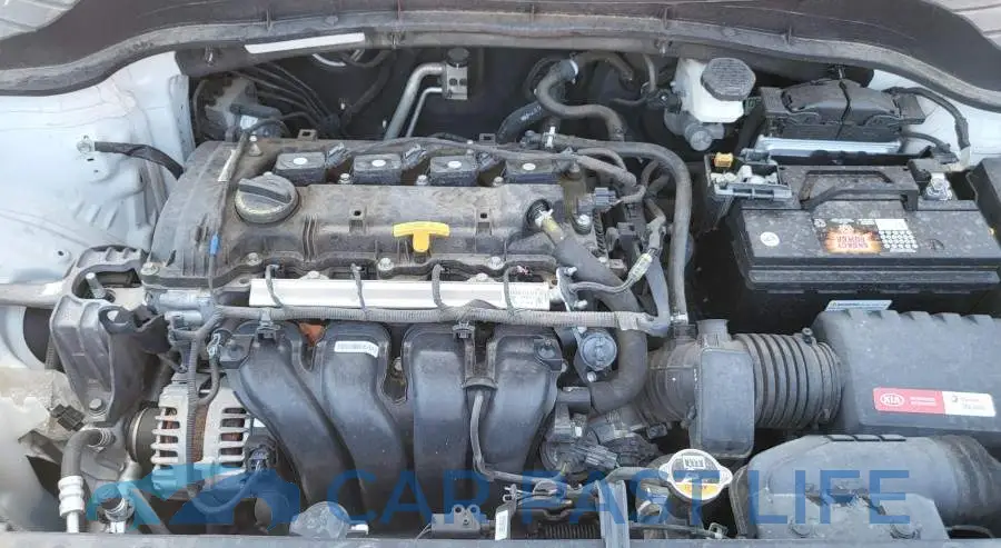 KNDJ23AU5L7017051# 10