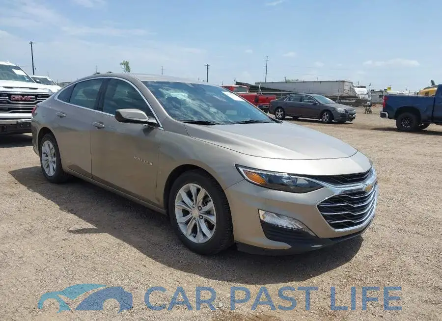 1G1ZD5ST8SF137194# 1