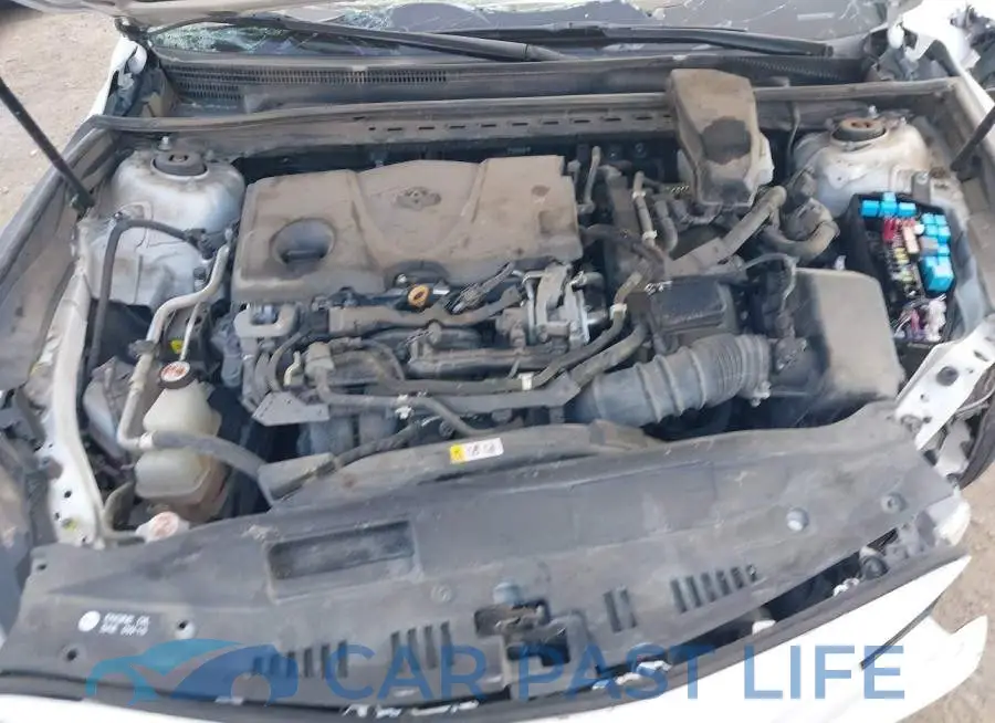 4T1C31AK9LU525819# 10