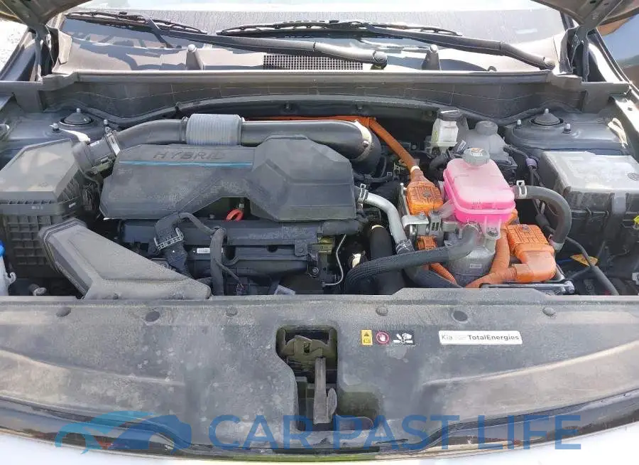 KNDPVCDG4R7128917# 10