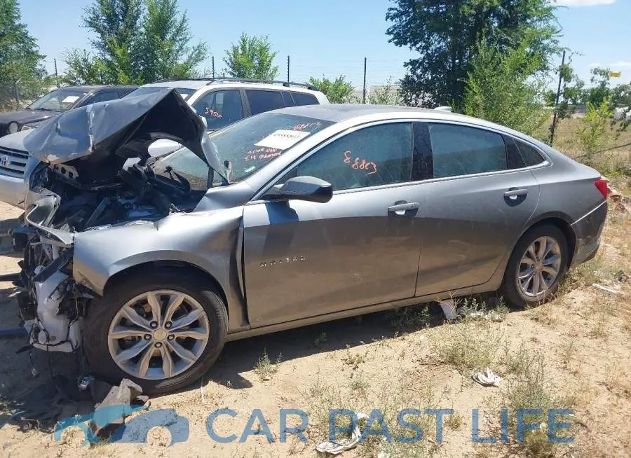 1G1ZD5ST6RF196657# 3